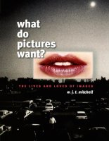 What do pictures want cover