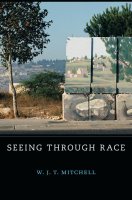 Seeing Through Race Cover