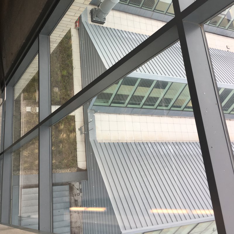 Department of Visual Arts