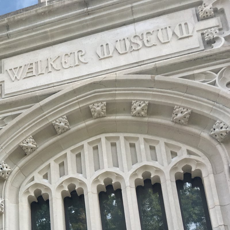 Department of English Language and Literature