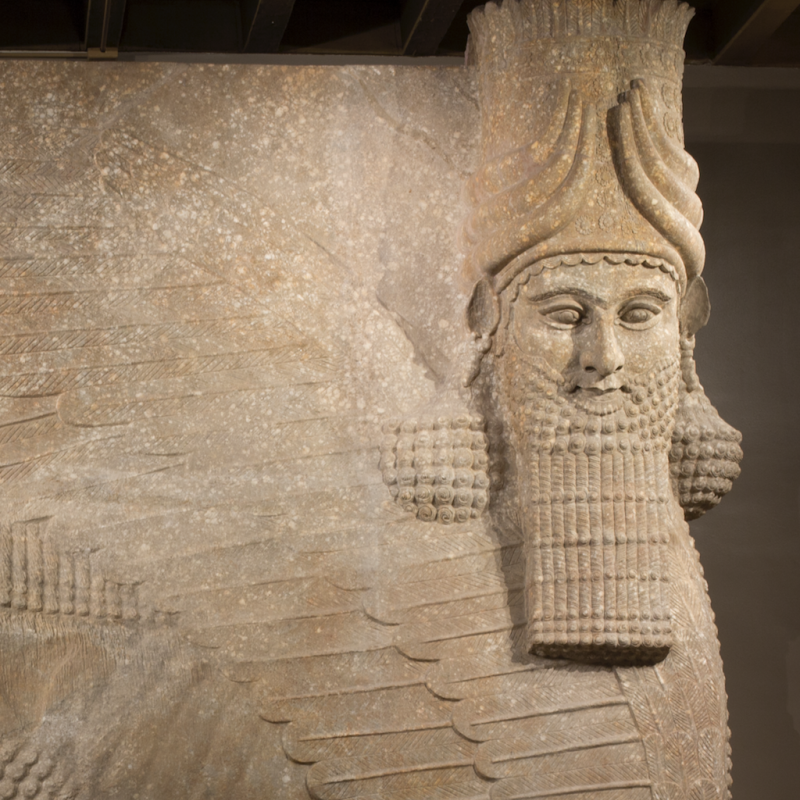 Institute for the Study of Ancient Cultures Museum