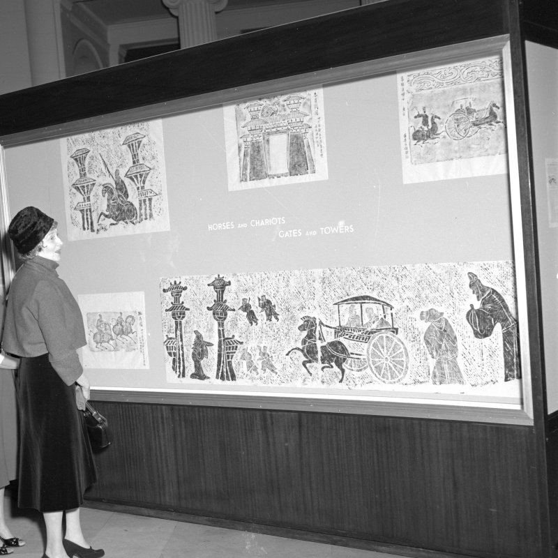 Lucy Driscoll, viewing exhibition at Field Museum