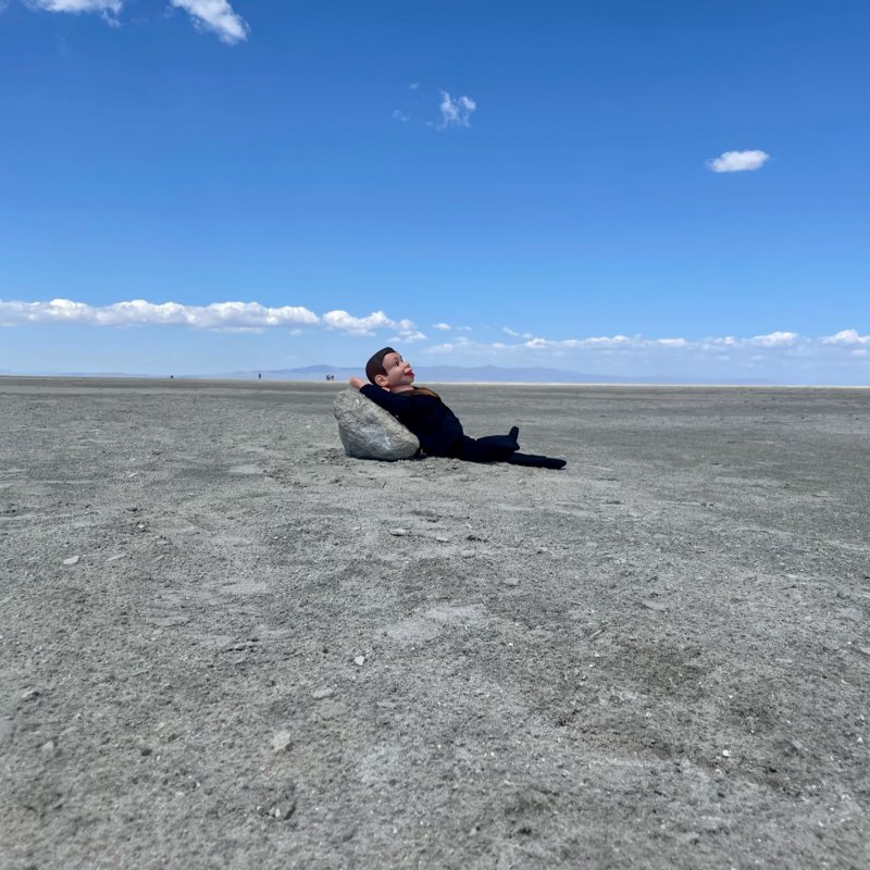 A doll lying on a dry lake bed.