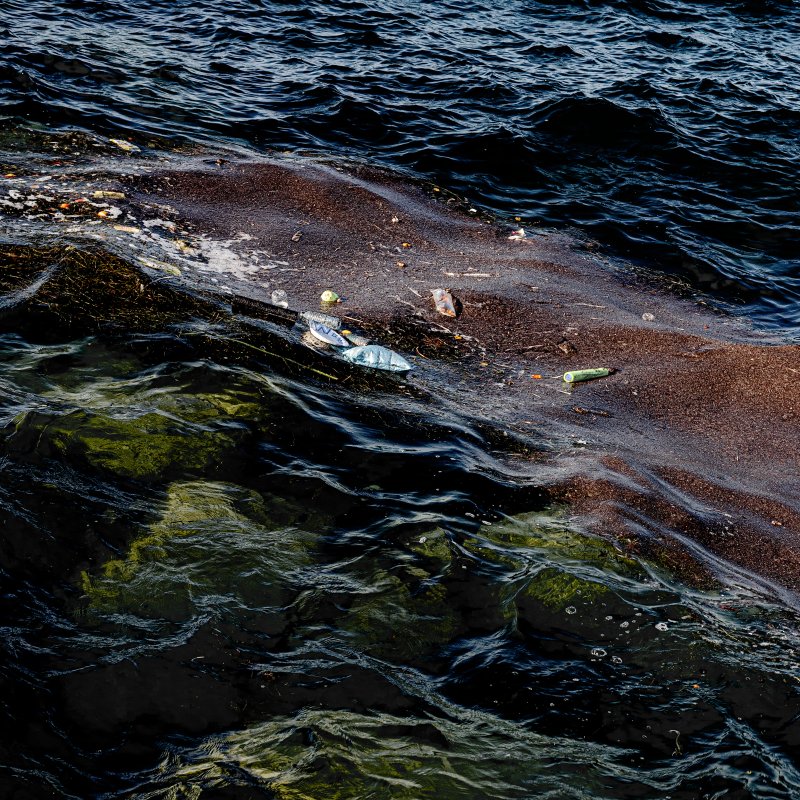 Debris and silt floating in a deep blue-green, waving body of water